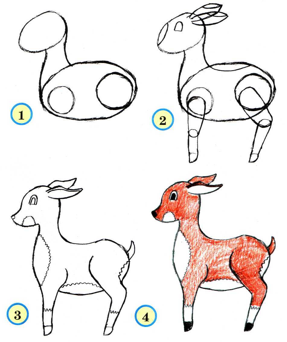 Как нарисовать животных поэтапно своими руками: обзор лучших пошаговых инструкций и мастер-классов для детей