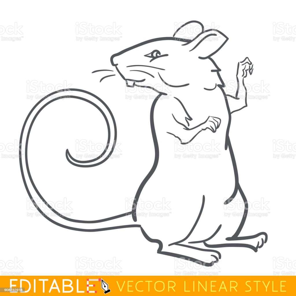 Крыса — символ года 2020 своими руками: мастер-класс, пошаговые схемы, фото