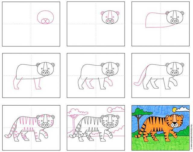 Как нарисовать тигра, рисуем символ 2022 года пошагово для детей