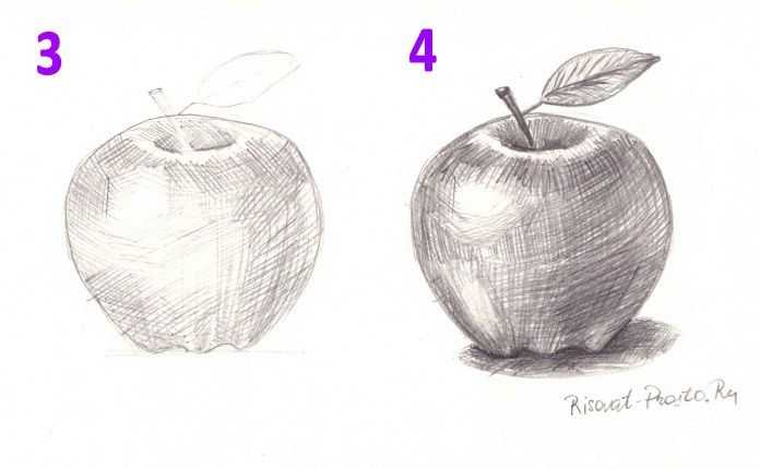 Как нарисовать яблоко поэтапно карандашом: инструкция для детей и начинающих