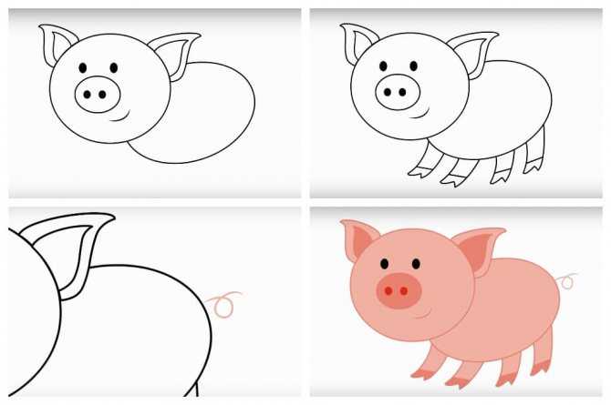 Как нарисовать свинью карандашом поэтапно для начинающих легко