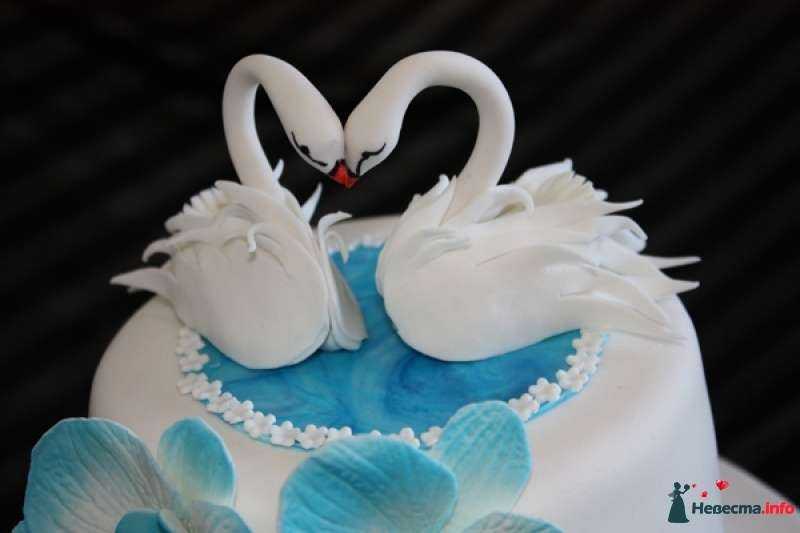 Лебедь из мастики – прекрасное кулинарное украшение для торта, на примере мастер-класса