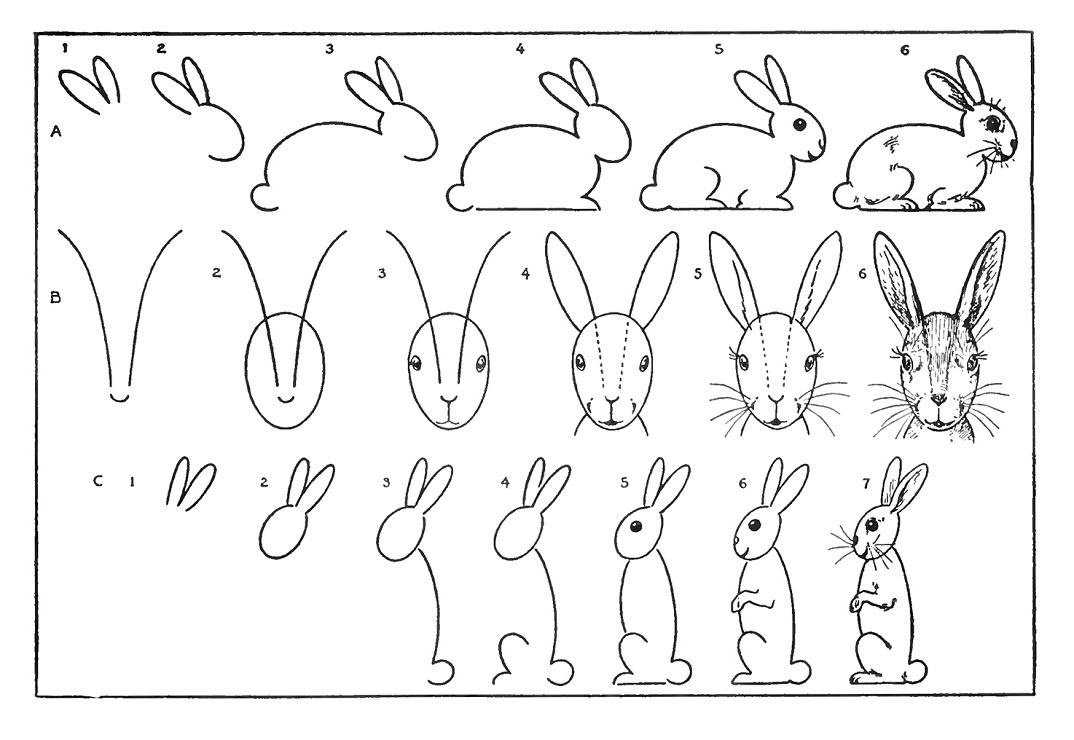 Как нарисовать кролика поэтапно легко и просто карандашом