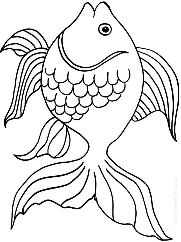 Золотая рыбка раскраска для детей высокого качества скачать и распечатать