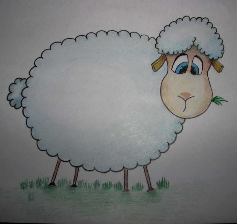 Рисунок барашка для детей: овечка рисунок для детей цветными карандашами и красками. —  ашаж.рф