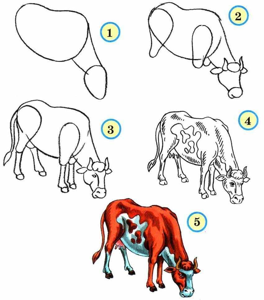 Как нарисовать животных поэтапно карандашом. топ вариантов для начинающих