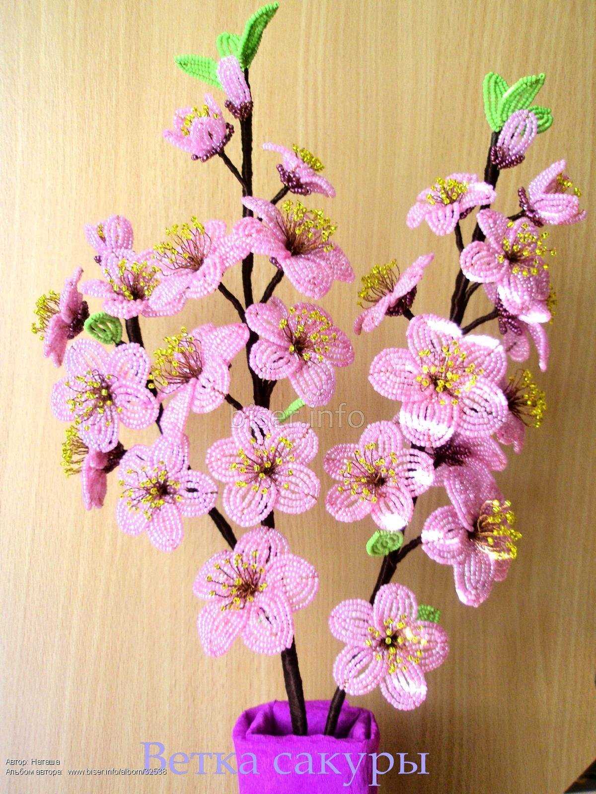 Как сделать ветку сакуры своими руками – цветы сакуры из гофрированной бумаги своими руками: фото и видео