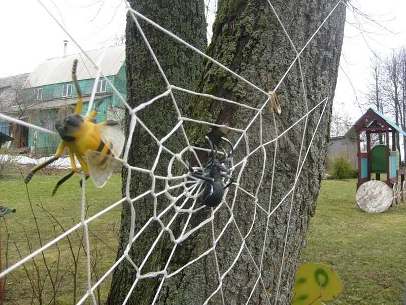Как сделать паутину на хэллоуин из ваты. декоративный венок к празднику хэллоуин своими руками