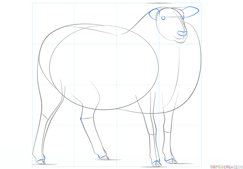Как нарисовать овечку: уроки для начинающих художников :: syl.ru