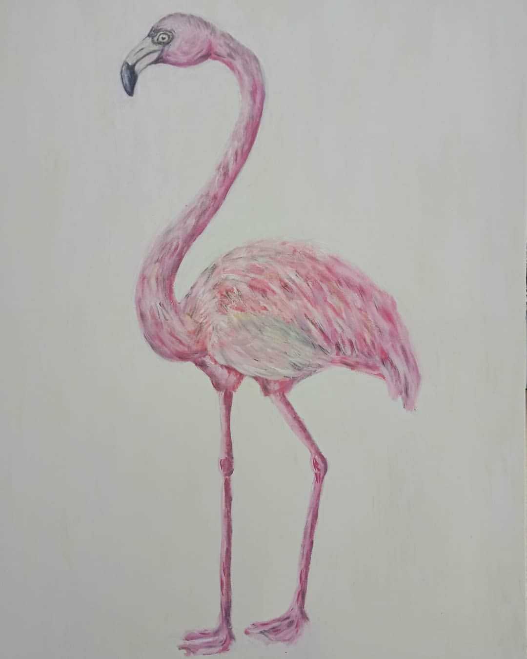 Как нарисовать фламинго поэтапно для начинающих