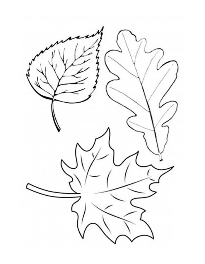 Листья деревьев для вырезания цветные. шаблоны листьев (100 картинок и трафаретов)