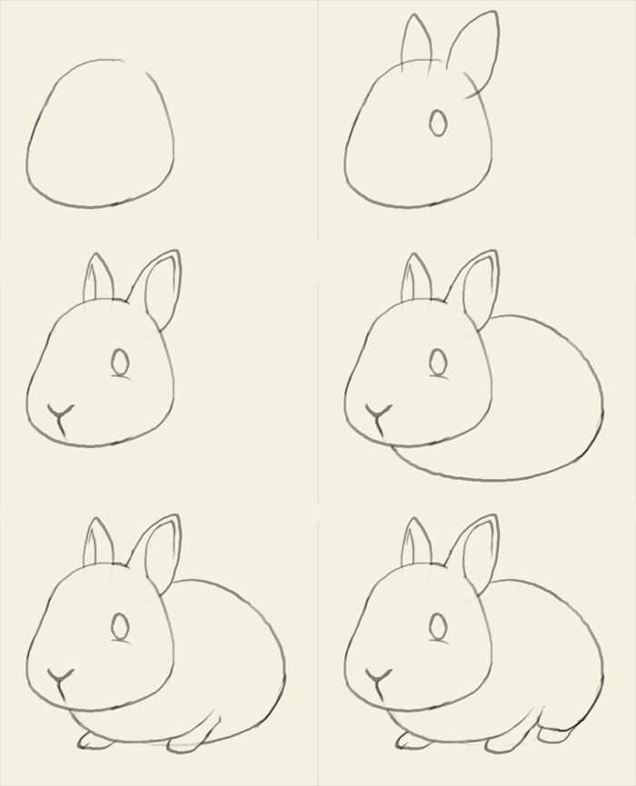 Как нарисовать кролика поэтапно карандашом (49 фото) - легкие мастер-классы по рисованию кролика