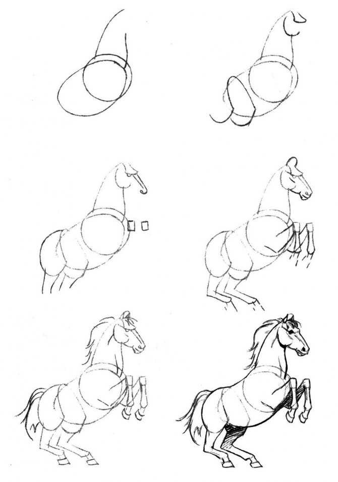 Как легко нарисовать лошадь поэтапно карандашом, в движении, Юлий богатырский конь из мультика, на лугу За основу можно взять шаблон в виде трапеции, изготовленный из плотного картона Обведя шаблон, ребенок должен будет добавить недостающие детали: гриву,