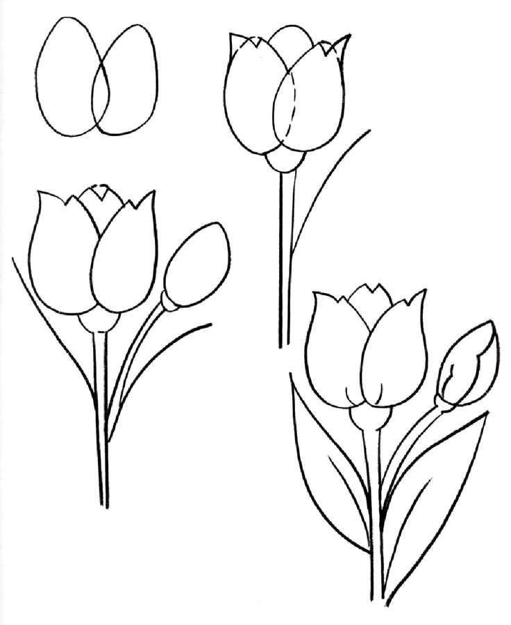 Как нарисовать тюльпан поэтапно карандашом — 4 легких мастер-классов для начинающих