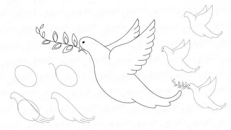 Рисунок голубя к 9 мая в детский сад: как нарисовать поэтапно карандашом и другими способами