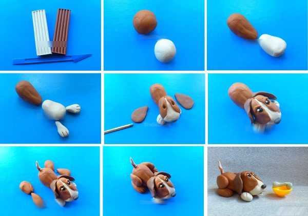 Собака из пластилина: 70 фото советов как слепить и разукрасить собачек