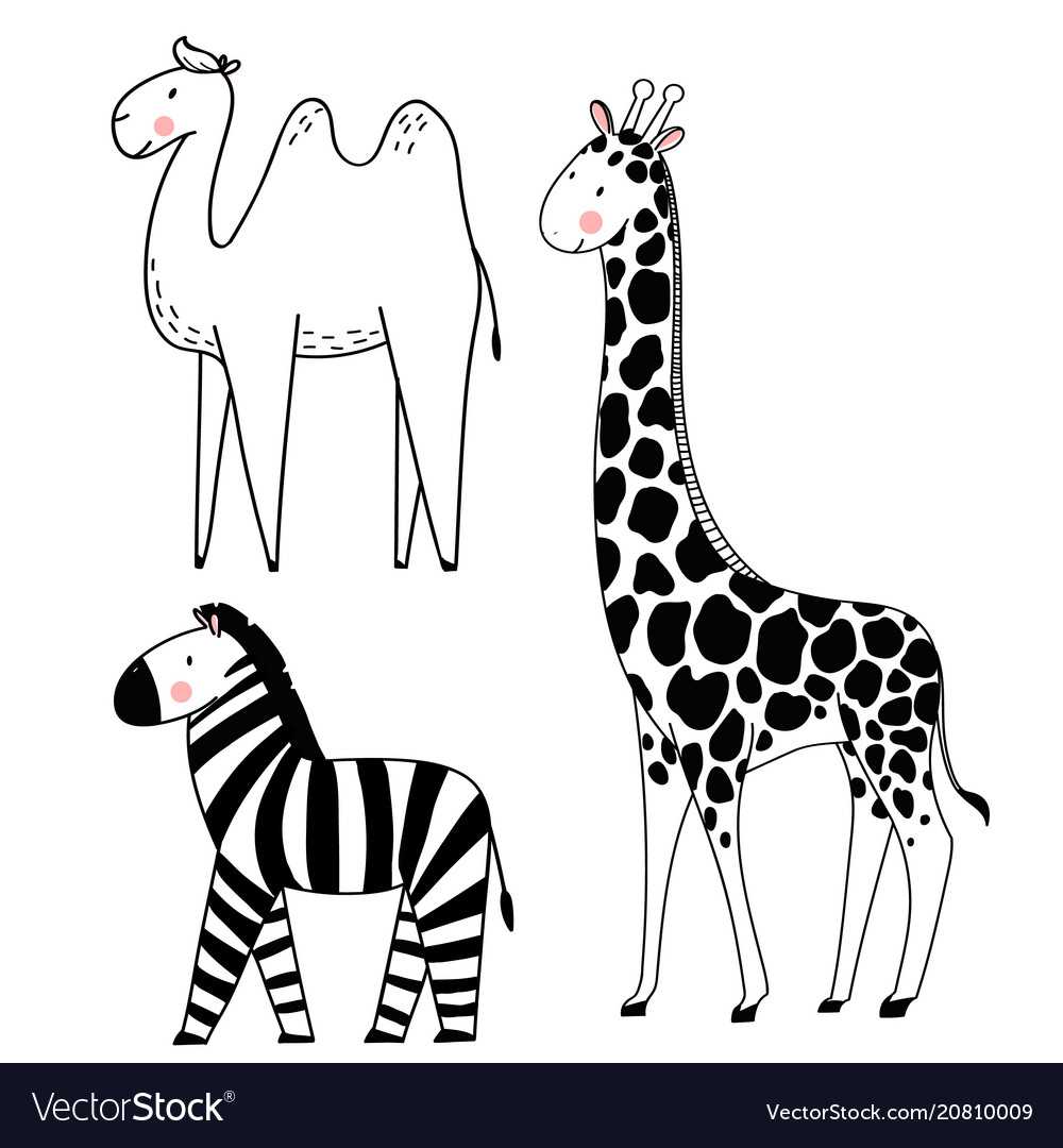 Картинки для детей зебра | картинки detki.today