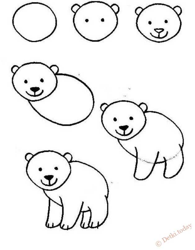 Как нарисовать медведя - поэтапная инструкция по рисования, бурого и белого медведя