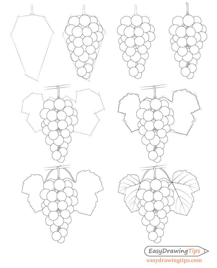 Как нарисовать виноград карандашом поэтапно