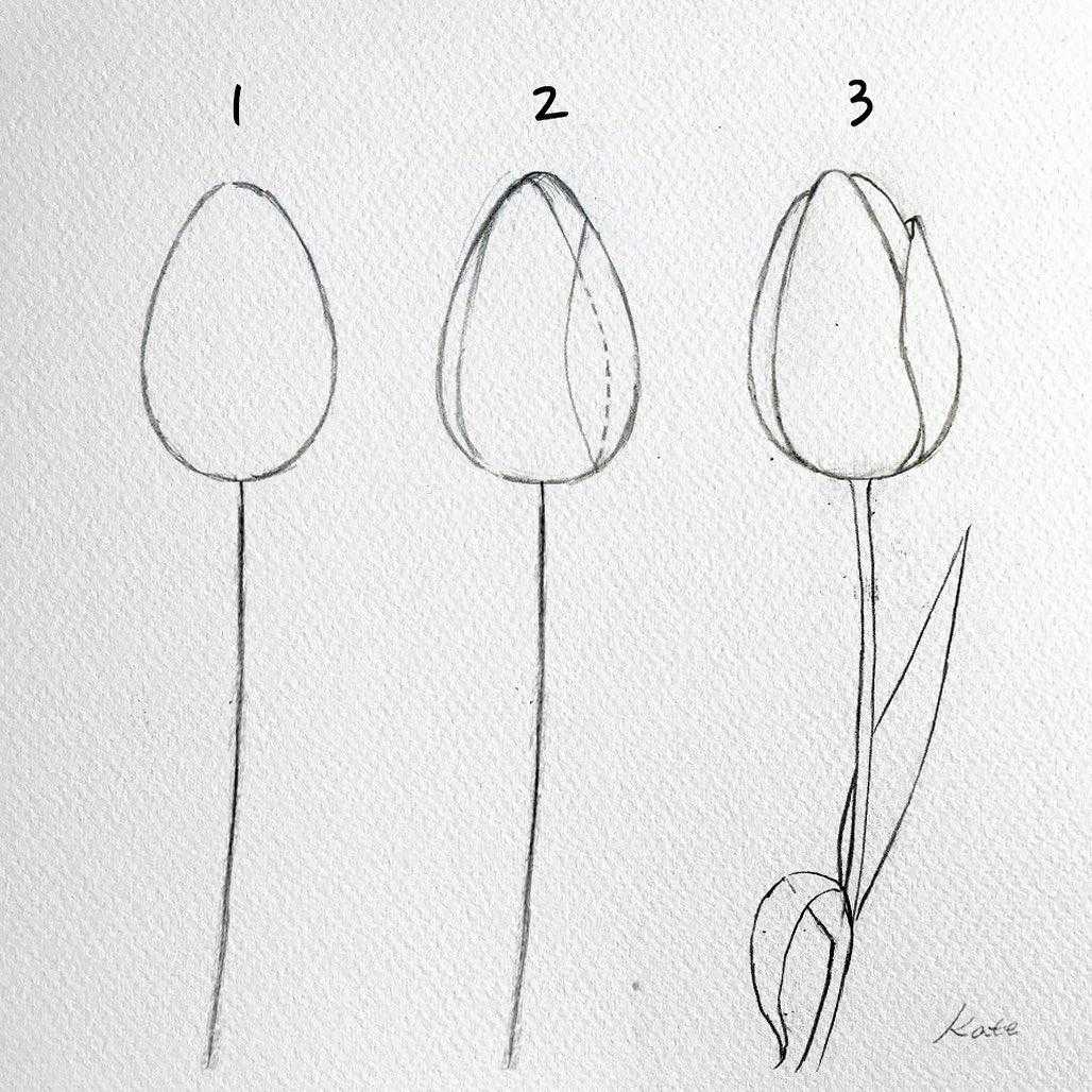 Как нарисовать натюрморт карандашом (106 фото): поэтапно инструкция для начинающих художников