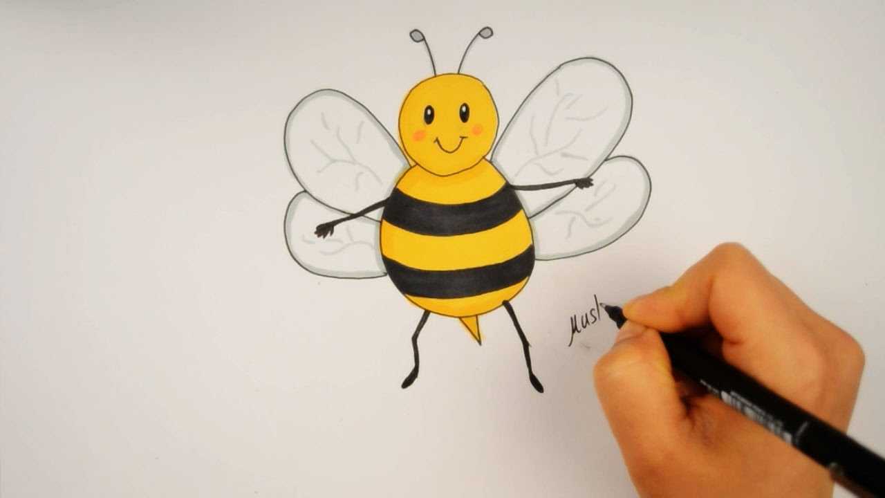 Рисунок пчелы: карандашом поэтапно. 3 варианта как рисовать пчелу