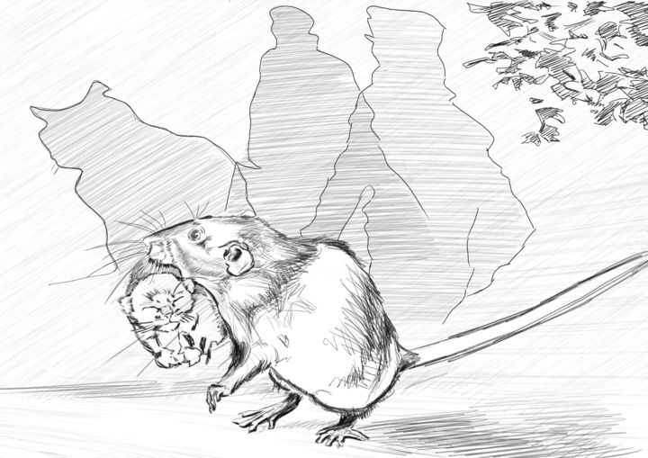 Как нарисовать карандашом крысу на новый год 2020. поэтапно рисуем символ 2020 года белая металлическая крыса