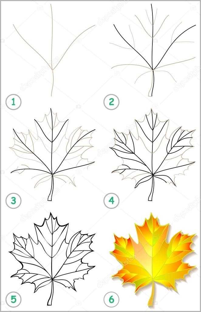 Как нарисовать листья: вариации цвета и композиций, описание хода работы и сборник мастер-классов